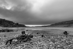 Poisoned glen