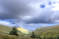 2024-Mayo_06566