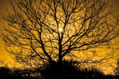 Lune d'hiver, Bretagne