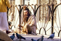 Sadhu