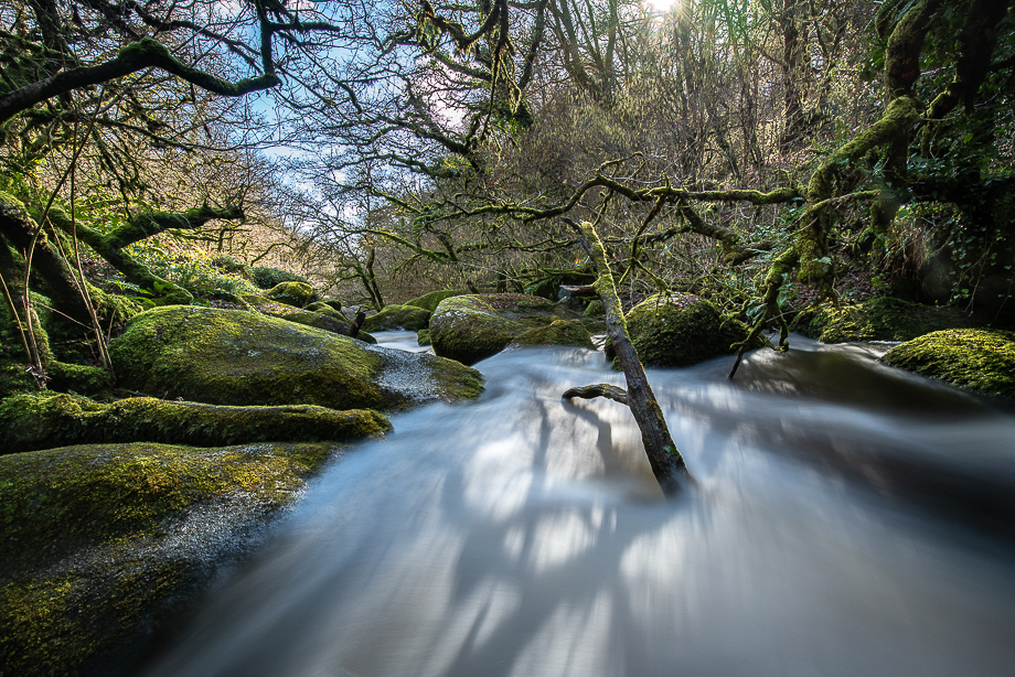 Et au milieu coule une rivière