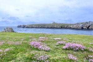 L&rsquo;île de Keller